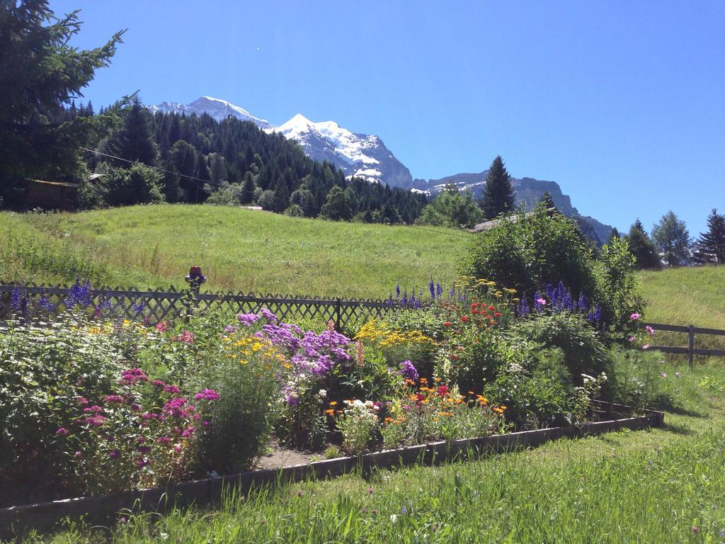 Ferienwohnung Staubbachbänkli Wengen Exterior foto