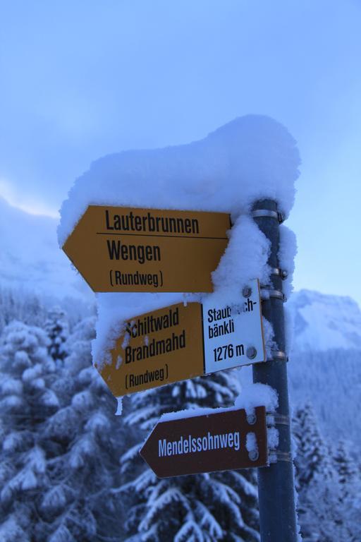 Ferienwohnung Staubbachbänkli Wengen Exterior foto